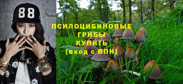 дурь Семилуки