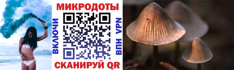 Галлюциногенные грибы Psilocybine cubensis  blacksprut зеркало  Александровск 